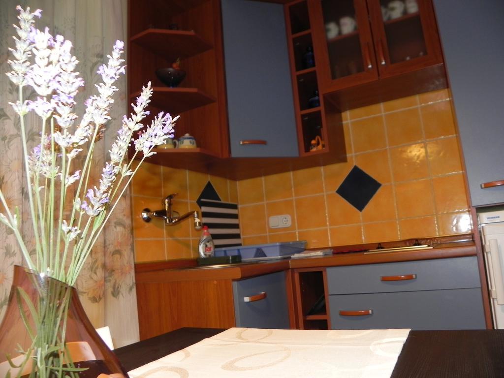 Apartments Katalenic เซลเซ ภายนอก รูปภาพ