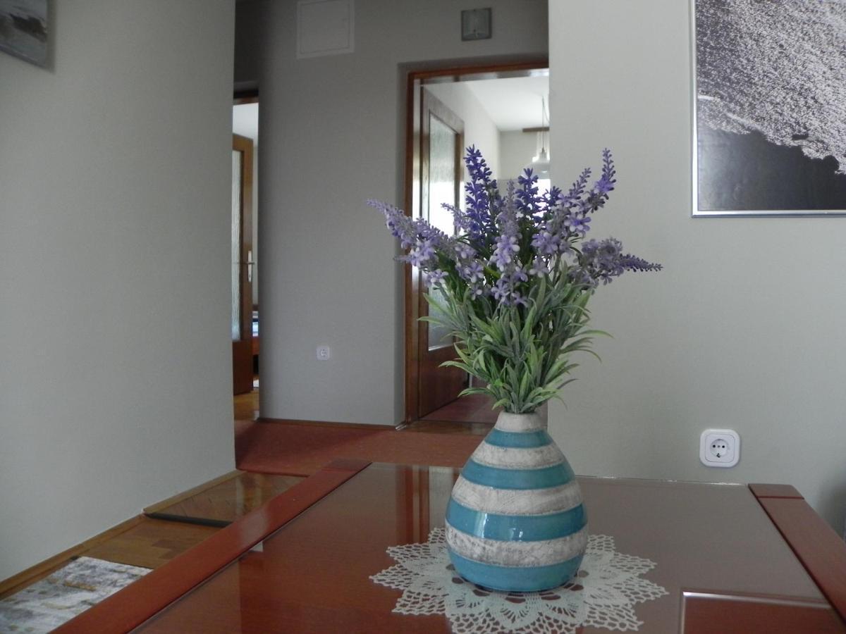 Apartments Katalenic เซลเซ ภายนอก รูปภาพ